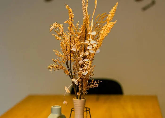 Geraeumiges - Zentral Und Nahe Der Berner Altstadt Lejlighed *